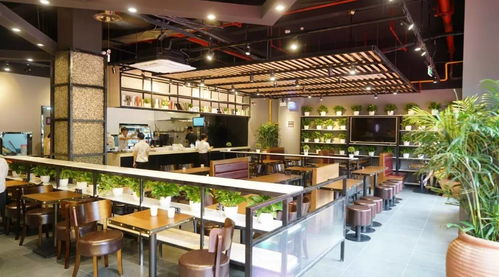 水寨奧園中西合璧美食店 平價美味，顛覆味蕾體驗(yàn)
